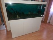 Aquarium 450l - Gotha