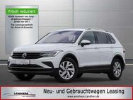 VW Tiguan 1.5 TSI Move // ACC/beh. WSS/Kamera/LED - Thannhausen