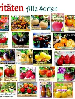 ♥ BIO samenfestes Saatgut Alte Sorten Tomate Gurke Zucchini Kohl Kräuter Heilkräuter Samen Tulpenstolz,seeds - Hamburg Hamburg-Nord