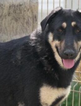 Lebensfrohe, liebe Fanta - Kallmünz