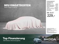 Skoda Karoq, 2.0 TDI Sportline, Jahr 2021 - Amberg