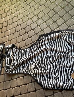 Fliegen-Ausreitdecke mit Halsteil Zebra Gr S - Daisendorf