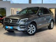 Mercedes-Benz GLE 350 d 4Matic*Luft*Pano*HuD*S.Klima*Keyless - Herford (Hansestadt)