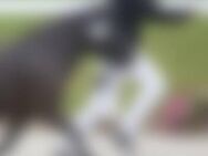 29M*** - Zwickau