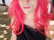 Trans sucht Trans - Regensburg