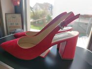 Damenschuhe /Madeleine gr.39 NEU - Gründau