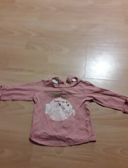 Süser Pullover gr. 68 zara - Osnabrück