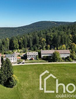 Schwarzwald Refugium (ca. 50 ha ) in Alleinlage - Sasbachwalden