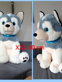 ♥ Stofftier neuwertig großer Husky Hund XXL 90 cm Kuscheltier Kindergarten Stoffhund,Spielzeug Weihnachten - Hamburg