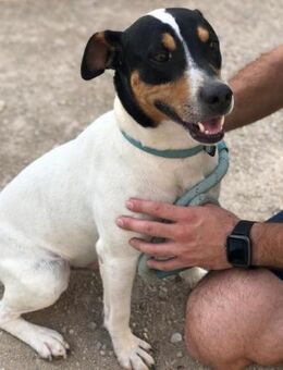 Haymitch sein Traum ist eine Familie - Laatzen