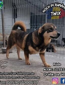 TWIX - träumt vom richtigen Paradies - Waakirchen