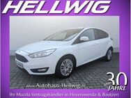 Ford Focus, 1.0 l Business, Jahr 2017 - Hoyerswerda