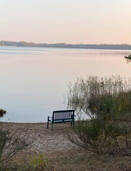 Bevor der Sommer geht, fällt der Preis - Gorden-Staupitz