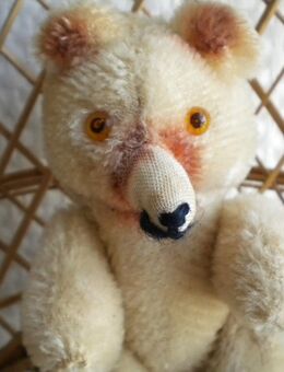 Nasenbär/Teddy,Alt,ca. 14 cm - Linnich