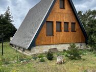 Großzügiges vollunterkellertes Finnhaus / Der ideale Wohnsitz für erholungssuchende Großstädter - Beelitz