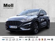 Ford Kuga ST-Line X 2.0 4x4 AHK FAP Techno Styling Winter 19'' - Aachen