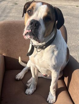 Platz da, hier kommt Frosch. - Süderdorf