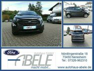 Ford EcoSport ST-Line - Neresheim