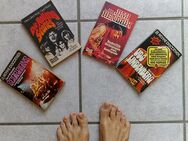 Musikbücher, Rolling Stones, Udo Lindenberg, Jimi Hendrix, Scorpions - Alsdorf Zentrum