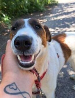 Little Frodo, lustiger Sportsfreund, 8M - Vaterstetten