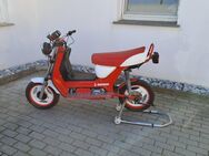 Simson Roller, SR50, Simson, Moped - Staßfurt Zentrum