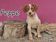 Haben Sie sich in Peppe verliebt? - Essingen (Rheinland-Pfalz)