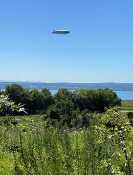Naturnahes Wohnen mit Blick auf See und Alpen - großzügige Wohnung mit Garten - Meersburg