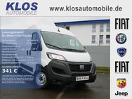 Fiat Ducato, 33 L2H2 HKaWa 140PS MJET E6D TECHNO CITY FREIGHT PLUS, Jahr 2024 - Dreieich