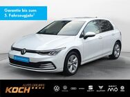 VW Golf, 2.0 TDI VIII Life, Jahr 2022 - Gaildorf
