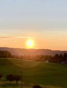 Helle Barrierearme Wohnung in ruhiger und zentraler grüner Traumlage von Oberreute plus TG - Oberreute