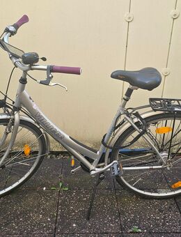 Villiger Fahrrad - Reichenbach (Fils)