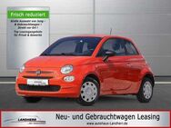 Fiat 500 1.0 Mild Hybrid Cult //Klimaanlage/DAB - Thannhausen