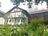 Hofstelle mit 12.946 m² Grund - Kirchberg (Wald)