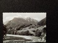 Ansichtskarte--Postkarte-I-748-Finkenberg im Zillertal. - Nörvenich