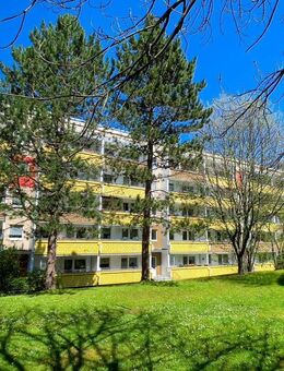 Wohnen in toll sanierter 3-Raum-Wohnung - Zwickau