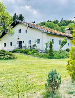 Renoviertes Bauernhaus in idyllischer Alleinlage in der Nähe des Skigebiets Hochficht - Breitenberg (Bayern)