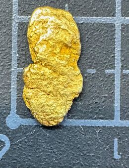 Goldnugget Silverado Mine Alaska Altfund Sammlerstück - Köln