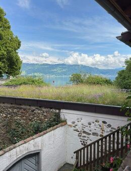 Denkmalgeschütztes WGH in zweiter Seereihe - Lindau (Bodensee)