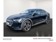 Audi e-tron, Sportback 50 quattro Privacyverglasung Sonnenschutzrollos, Jahr 2021 - Binzen