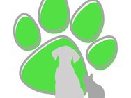 Biete Mobiles Hundetraining - Eichenau