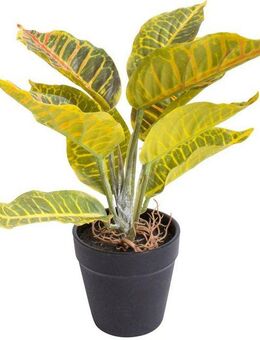 Künstliche Zimmerpflanze Croton, Botanic-Haus, Höhe 28 cm