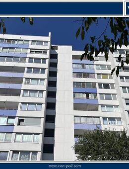 Helle 1 Zi-Wohnung mit Wintergarten - behindertengerecht - modernisiert 2023 - Mainpark Offenbach - Offenbach (Main)