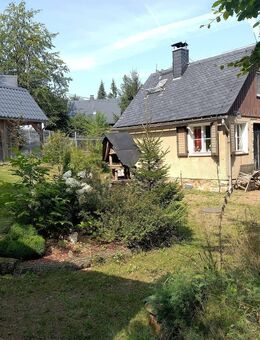 Wochenend - Wohnhaus im eigenem Wald-Park + Spielplatz + idyllisch im Sommer + gemütlich im Winter + schneesicher + + + + - Altenberg