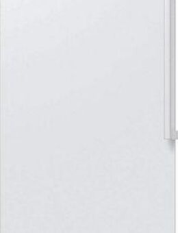 Samsung Gefrierschrank RZ7000 RZ32C7AE6WW, 186 cm hoch, 59,5 cm breit