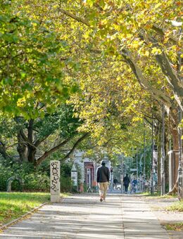 Neue Stadtwohnungen mit Dachgarten nahe Prenzlauer Berg - Berlin