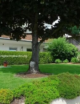 Modernisierte, absolut ruhige 3 Zimmerwohnung mit sehr großer Sonnenterrasse in kleiner Wohneinheit! - Niedernhausen