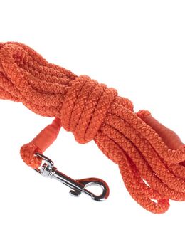 Sparset: Heim Feldleine Orange + Trixie Dog Activity Baggy Deluxe - Leine 10 m + Baggy