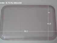 Bürstner Wohnwagenfenster ca 68,2 x 43,8 gebraucht Roxite 60 D78 - Schotten Zentrum