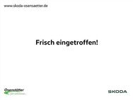 Skoda Superb, 2.0 TDI Combi Selection, Jahr 2024 - Traunstein