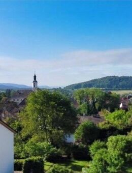 Genießen Sie die "freie" Sicht - Top moderner Neubau mit Fernwärme... (Garage schon inklusive) - Hilzingen